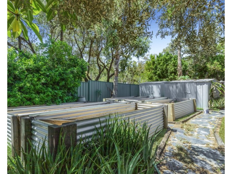 16 Barfoot Street, Bracken Ridge QLD 4017