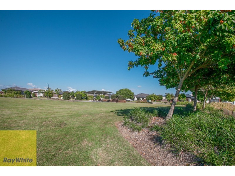 3 Cooroo Lane, Pimpama QLD 4209