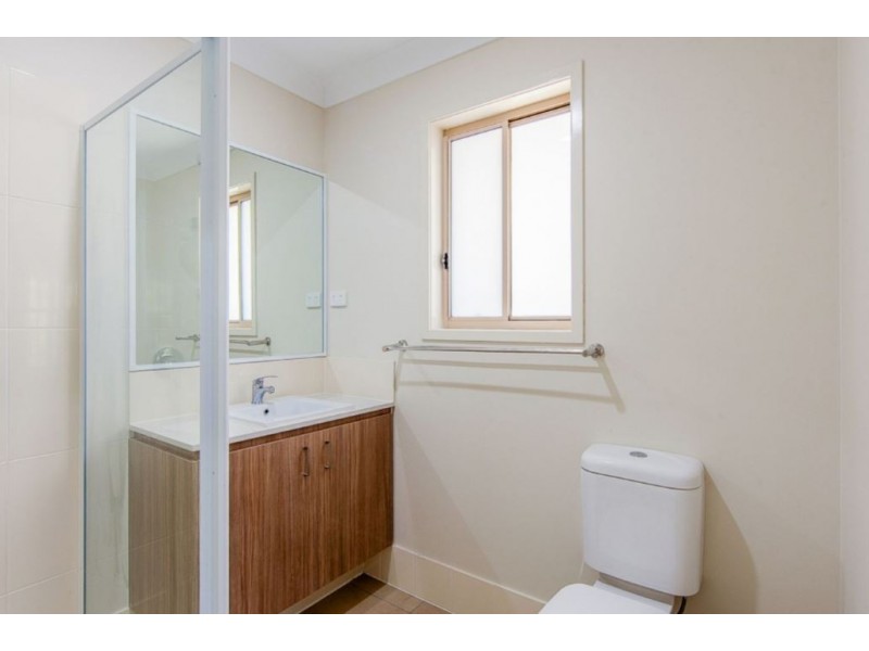 17 Junction Drive, Redbank Plains QLD 4301