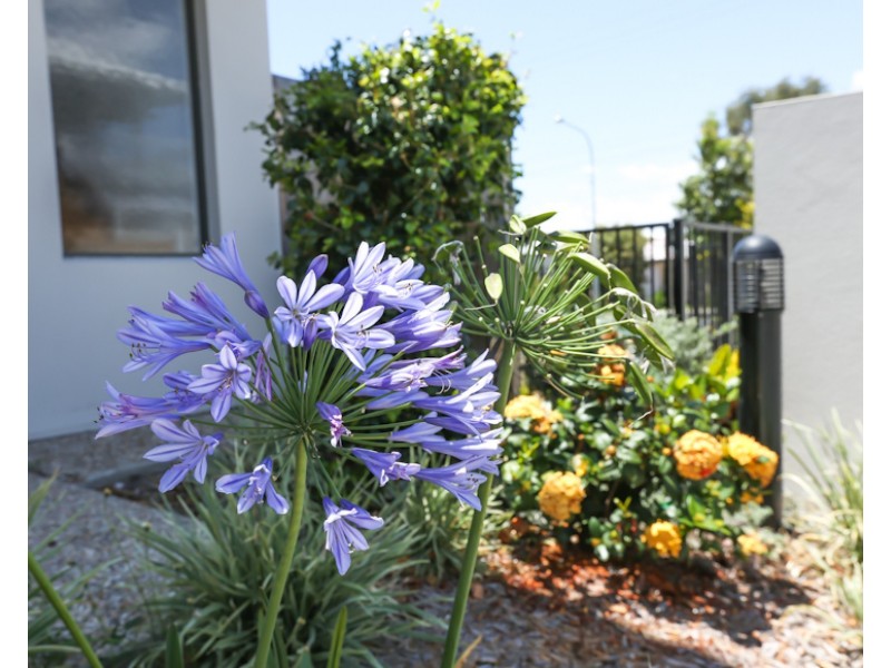 13/395 Zillmere Road, Zillmere QLD 4034