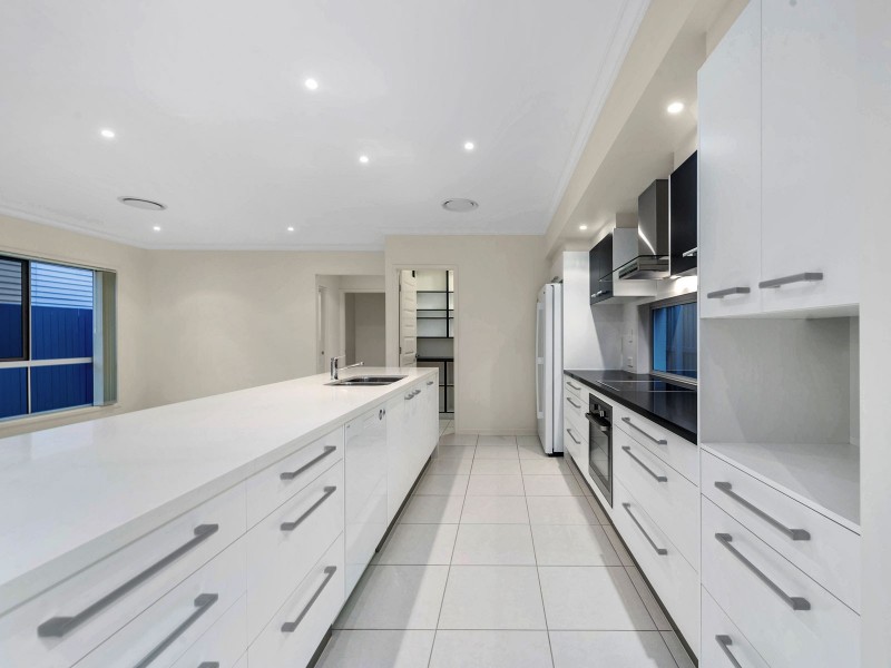 36 Lionel Street, Nudgee QLD 4014