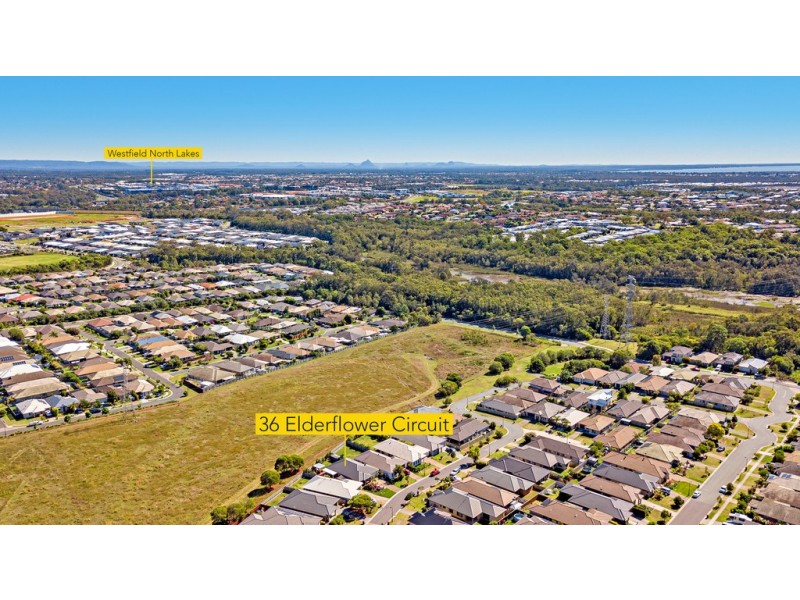 36 Elderflower Circuit, Griffin QLD 4503