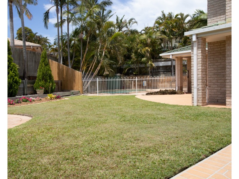 157 Ironwood Street, Aspley QLD 4034