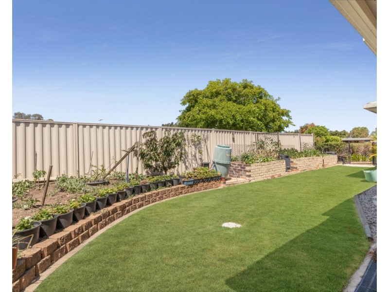 16 Frawley Street, Boondall QLD 4034