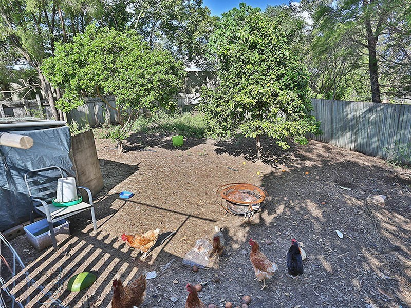 217 Dorville Road, Carseldine QLD 4034