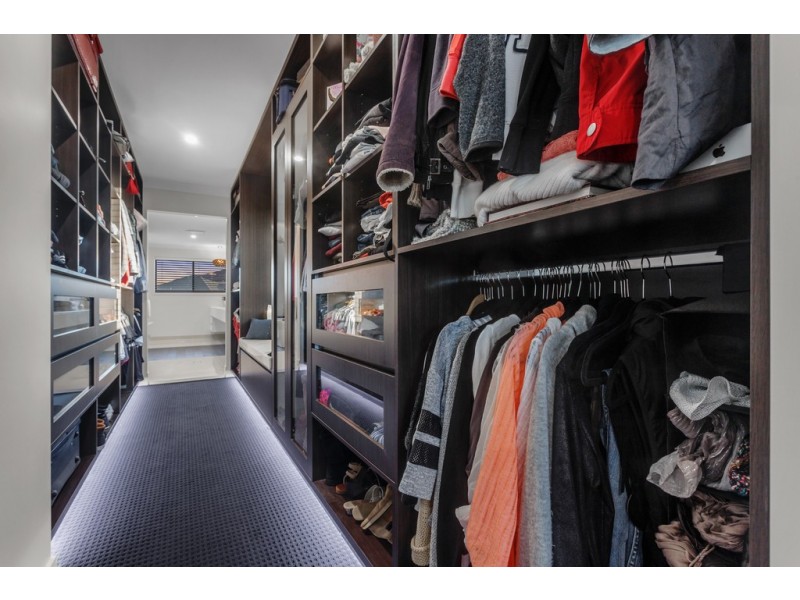 31 Paterson Street, North Lakes QLD 4509