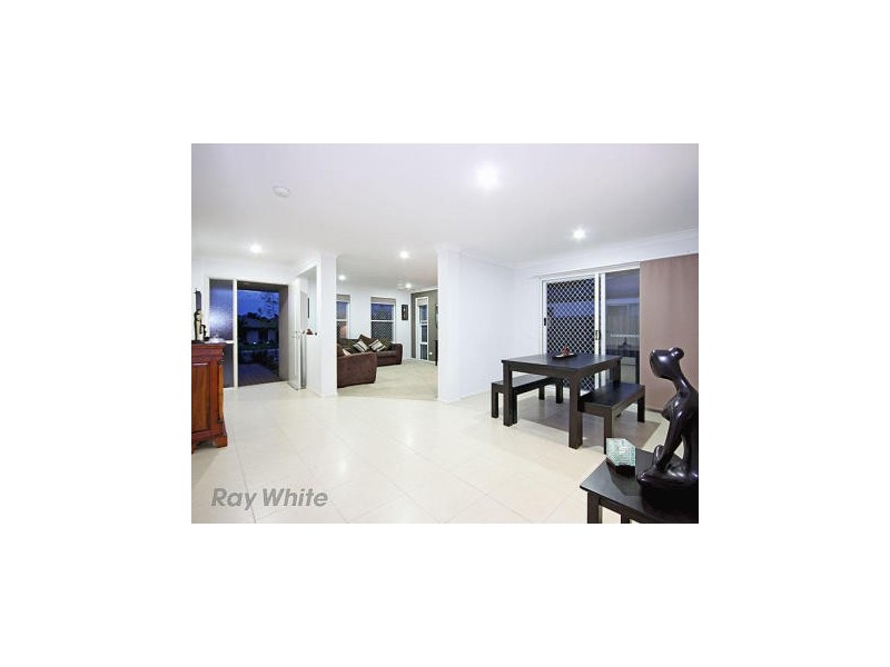 22 Conlan Street, Nudgee QLD 4014