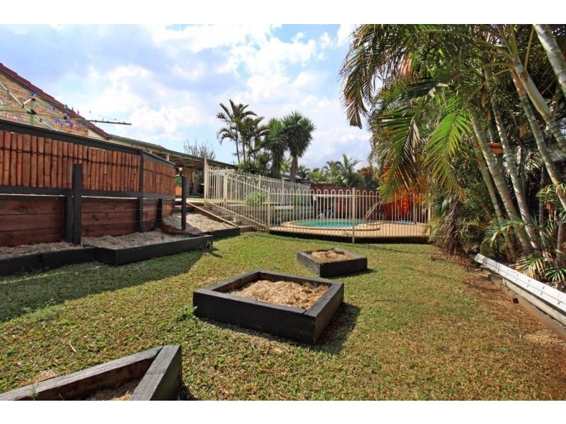 16 Tulip Tree Road, Murrumba Downs QLD 4503