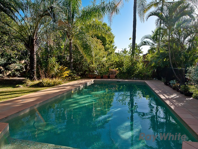 29 Larwill Avenue, Northgate QLD 4013