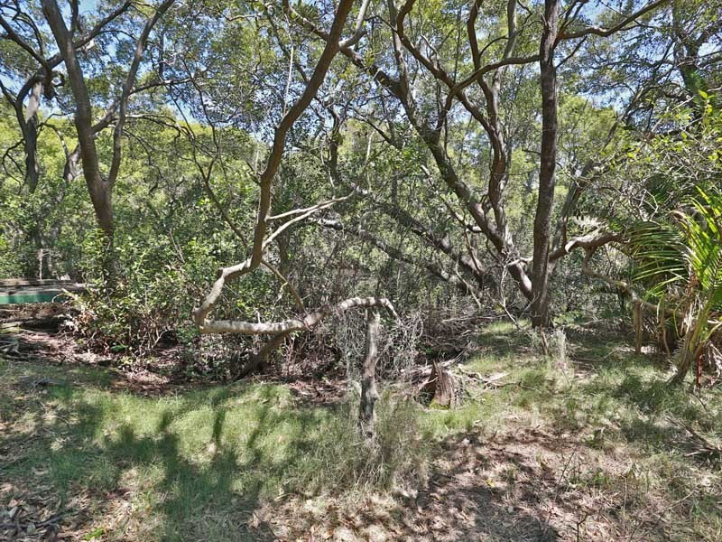 4 Dorloo Street, Deagon QLD 4017