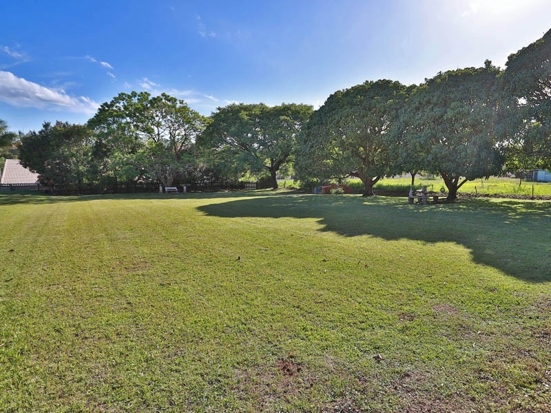 56 Denver Road, Carseldine QLD 4034