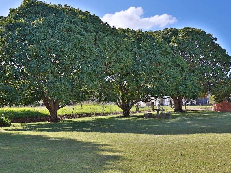 56 Denver Road, Carseldine QLD 4034