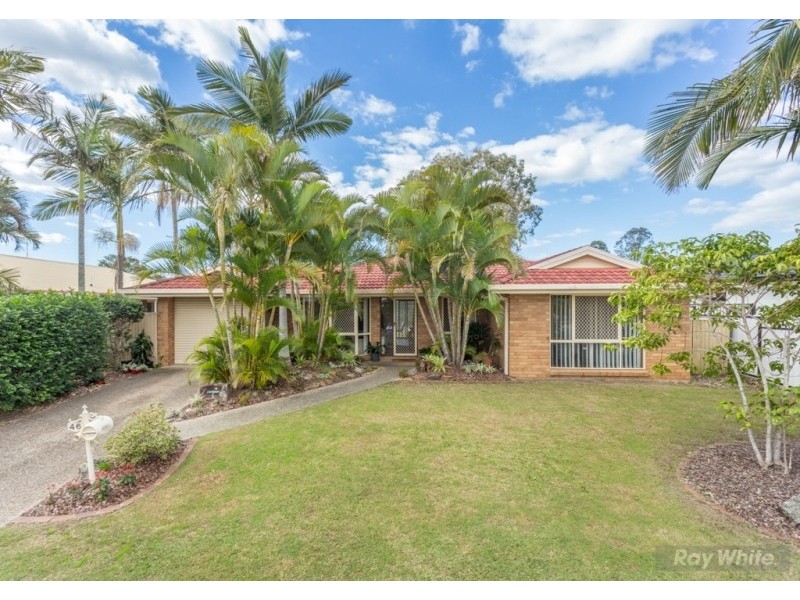 46 Allira Crescent, Carseldine QLD 4034
