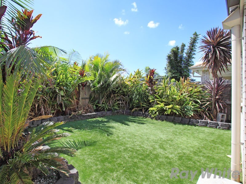 17 Karidawn Street, Nudgee QLD 4014
