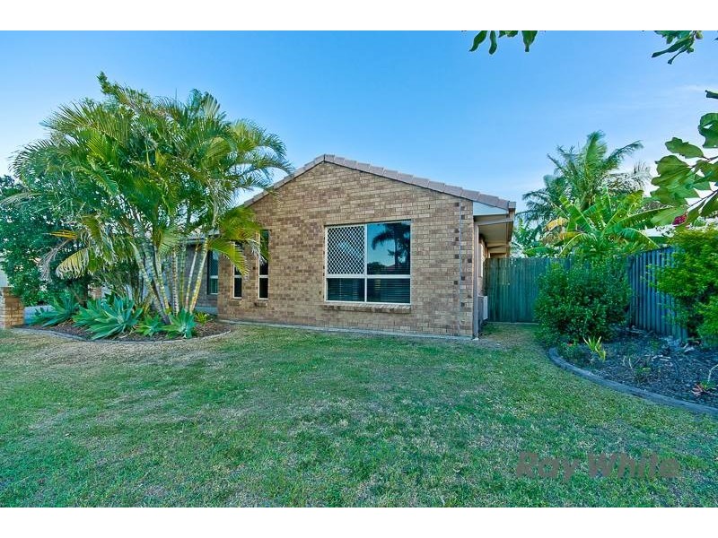 17 Frensham Crescent, Boondall QLD 4034