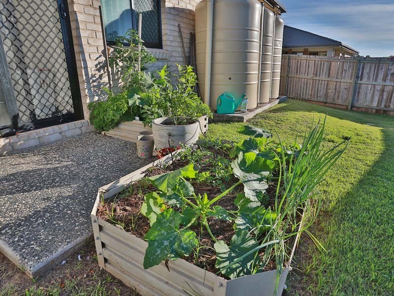 14 Telopea Place, Morayfield QLD 4506