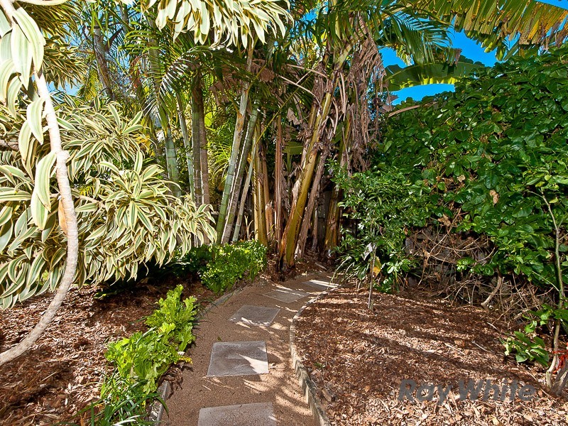 3 St Martins Court, Bald Hills QLD 4036