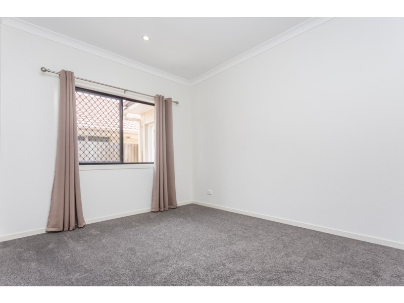 38 Ray Street, Carseldine QLD 4034