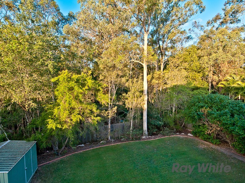 156 Voyager Circuit, Bridgeman Downs QLD 4035