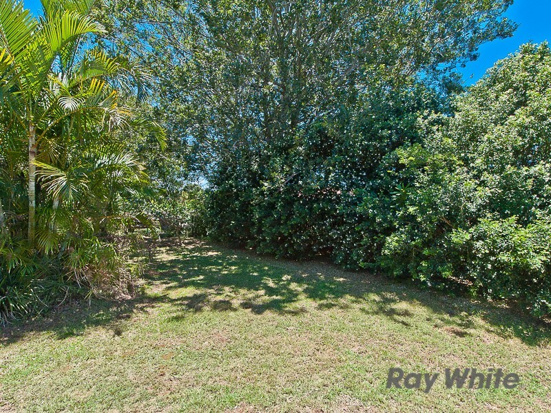 117 Redhill Road, Nudgee QLD 4014