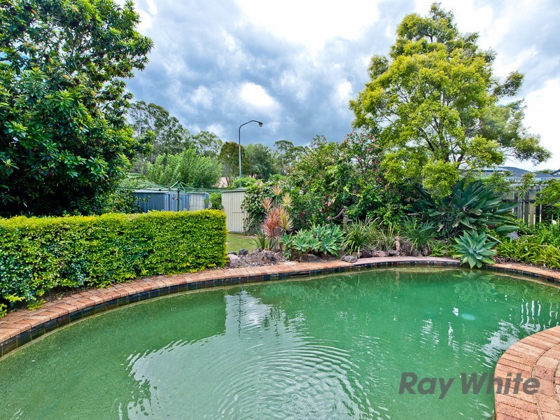 15 Binara Court, Carseldine QLD 4034