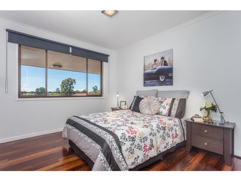 16 Silene Street, Wavell Heights QLD 4012