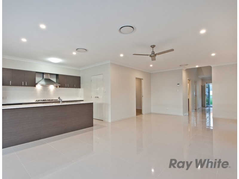 42 Somers Street, Nudgee QLD 4014