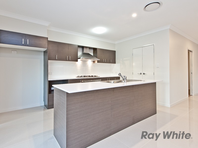 42 Somers Street, Nudgee QLD 4014
