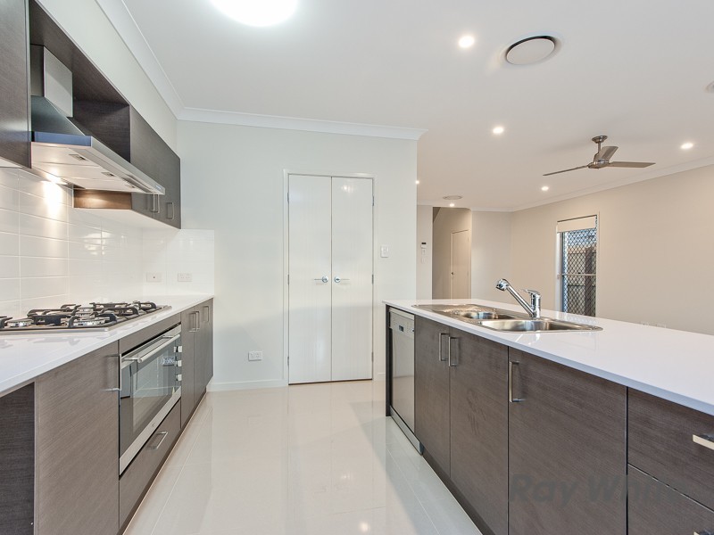 42 Somers Street, Nudgee QLD 4014