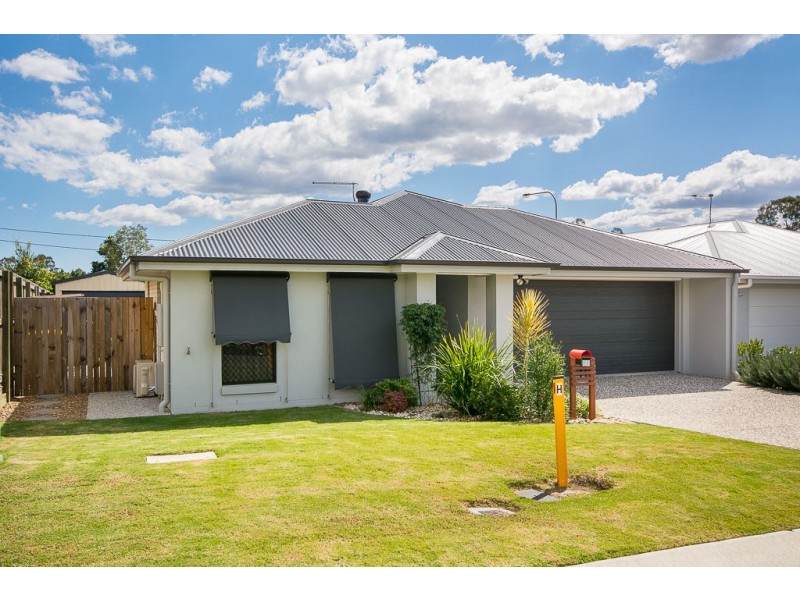 53 Sedgemoor Street, Carseldine QLD 4034
