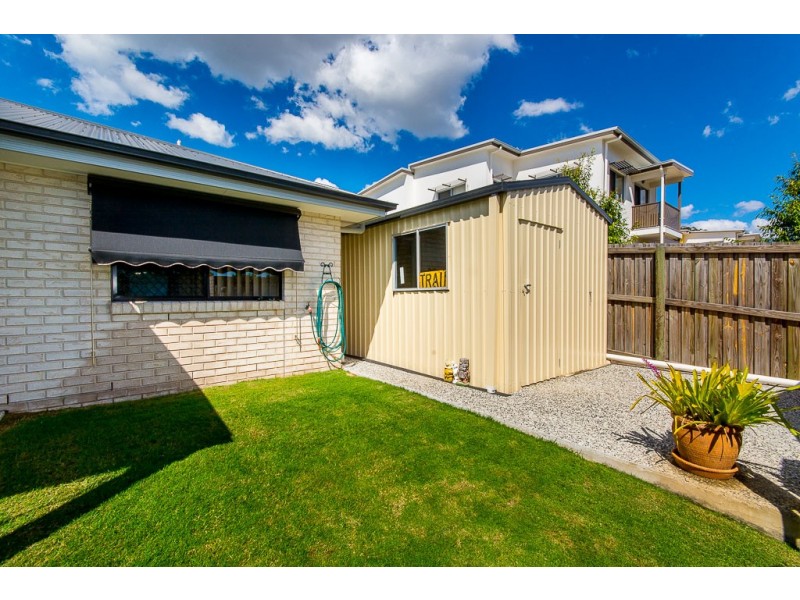 53 Sedgemoor Street, Carseldine QLD 4034