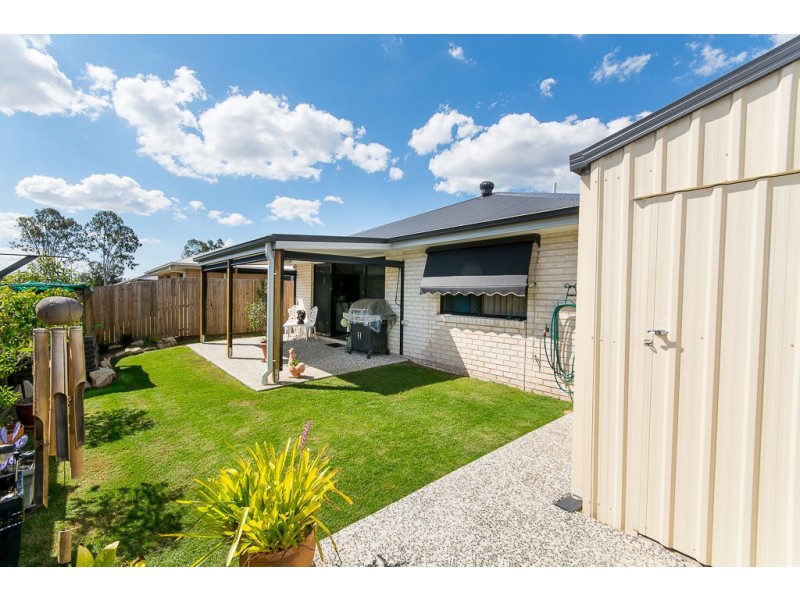 53 Sedgemoor Street, Carseldine QLD 4034