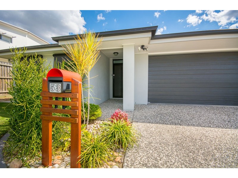 53 Sedgemoor Street, Carseldine QLD 4034