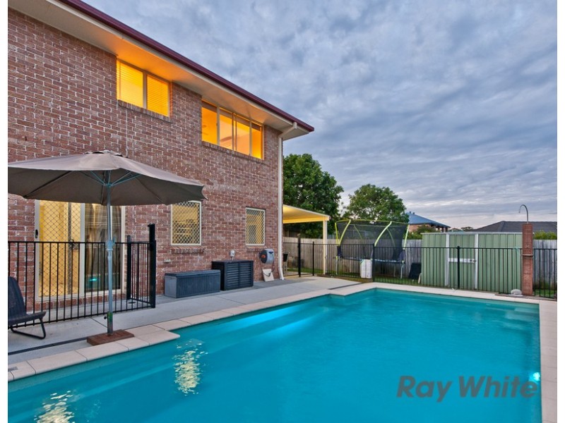 14 St Conel Street, Nudgee QLD 4014