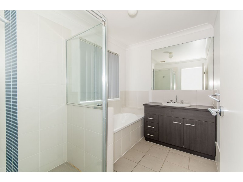 23 Cyperus Crescent, Carseldine QLD 4034