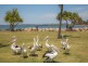 32 Yacht Street, Clontarf QLD 4019