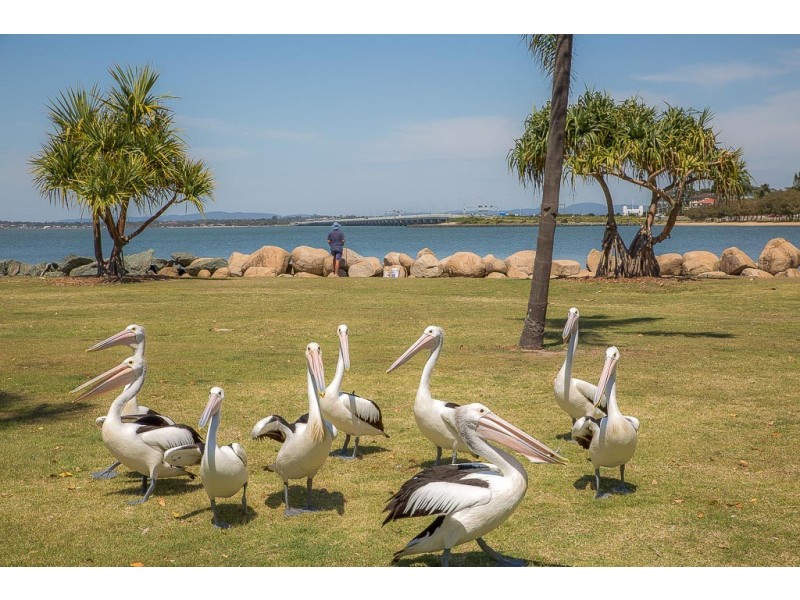 32 Yacht Street, Clontarf QLD 4019