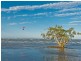 28 O’Quinn Street, Nudgee Beach QLD 4014