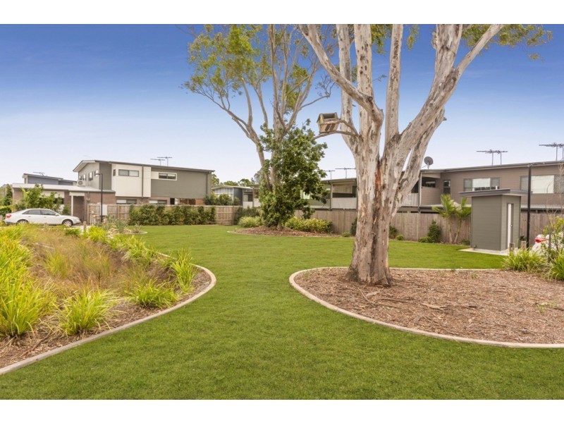 31/30 Slade Street, Carseldine QLD 4034