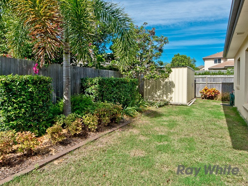 5 Cheddar Court, Carseldine QLD 4034