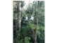 8 Lakeview Court, Joyner QLD 4500