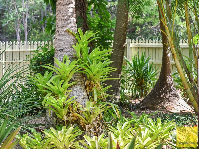 24 Lower Brighton Terrace, Sandgate QLD 4017