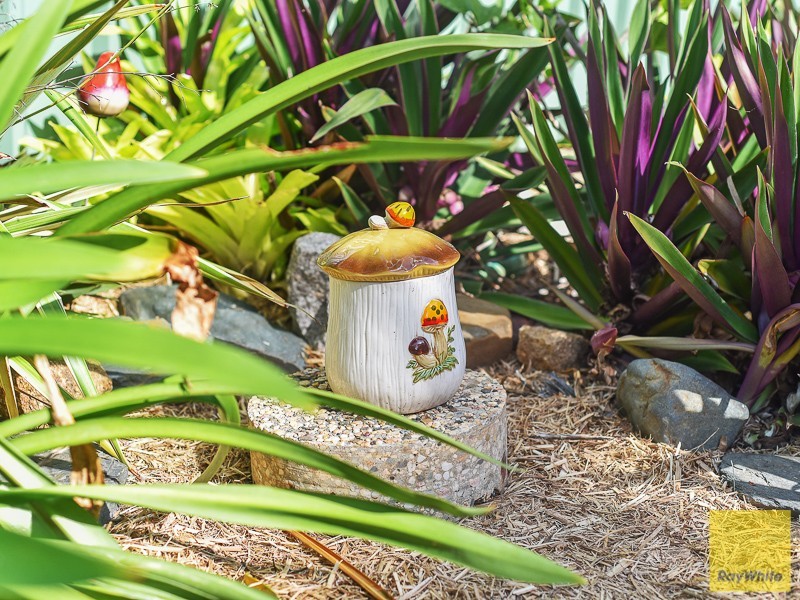 24 Lower Brighton Terrace, Sandgate QLD 4017