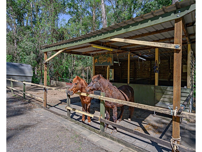 25 Beech Drive, Cashmere QLD 4500