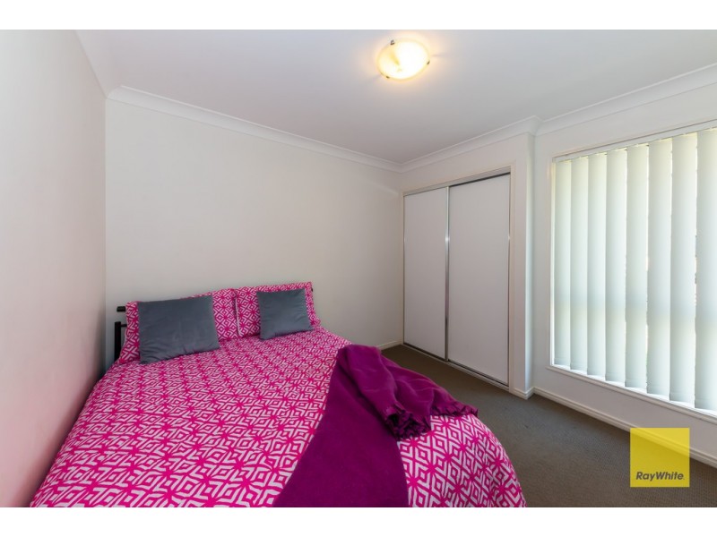 8 Luke Court, Cashmere QLD 4500