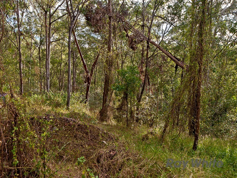 2 Springbook Court, Cashmere QLD 4500