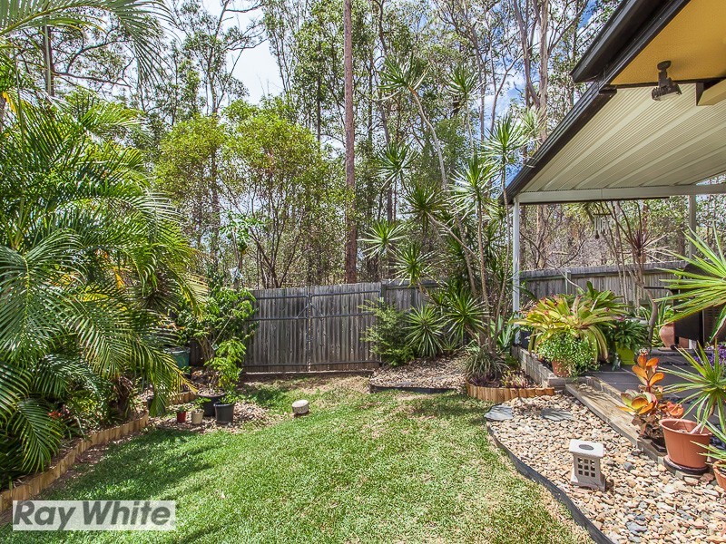 3 Boxwood Court, Warner QLD 4500