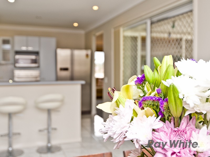 44 Kurrajong Drive, Warner QLD 4500