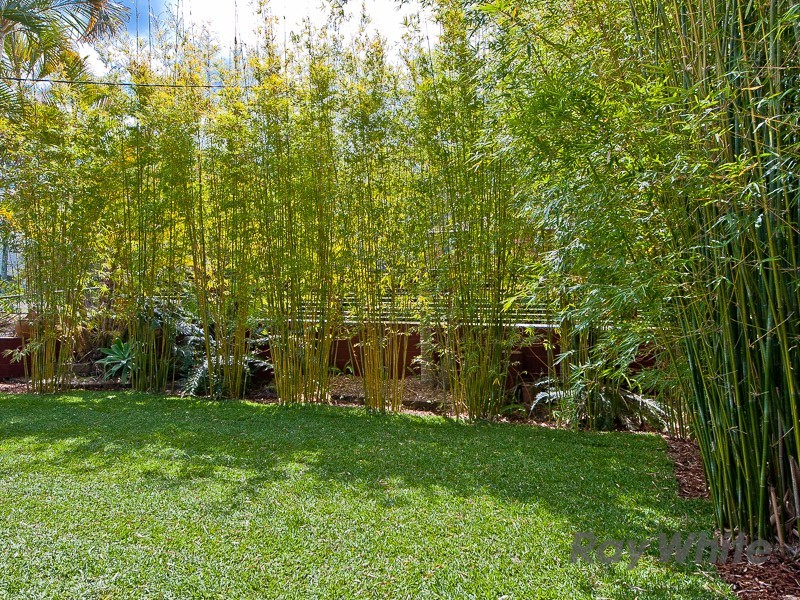 39 Felstead Street, Everton Park QLD 4053