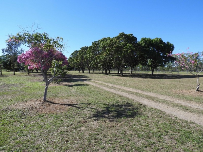 153 Granitevale Road, Alice River QLD 4817